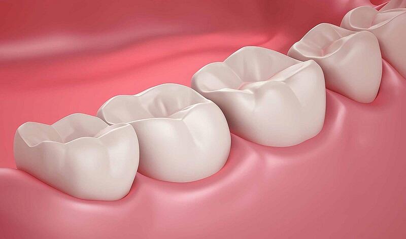 Tầm quan trọng không thể thay thế của răng hàm?